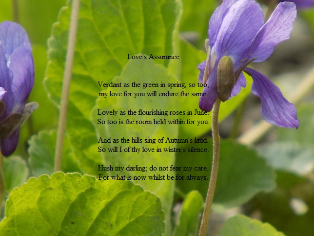poem and photo