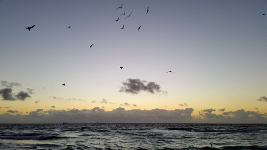 The Sea With Birds and Clouds